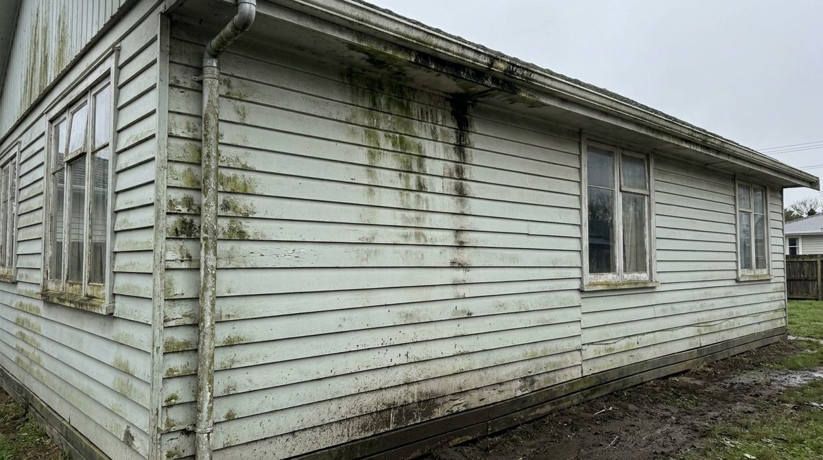 Weatherboard wall stained with green algae and black streaks under the roofline