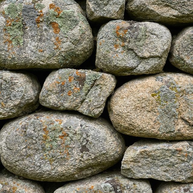 Dry stacked New England fieldstone wall face with lichen