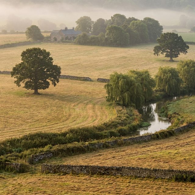 Rolling inland estate land with dry stone walls, mature oaks, and morning haze